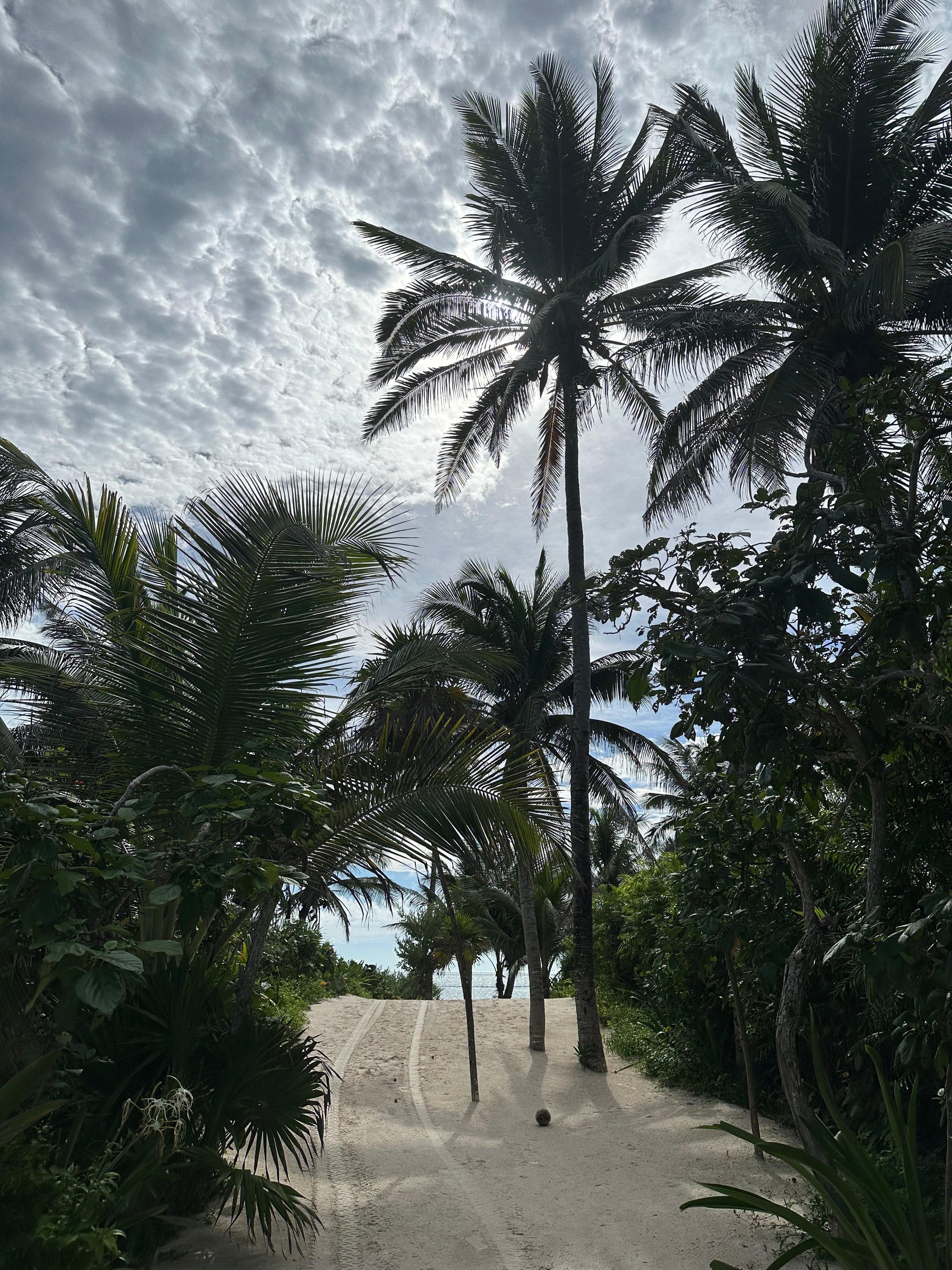 BACK IN THE CARIBBEAN